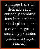 Cuadro de texto: El hinojo tiene un delicado sabor anisado y combina muy bien con una serie de platos como pueden ser guisos, cocidos y pescados (caballa, arenque, salmón).