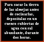 Cuadro de texto: Para sacar la tierra de las almejas antes de cocinarlas, deposítalas en un cuenco cubiertas de agua con sal abundante, durante dos horas.
